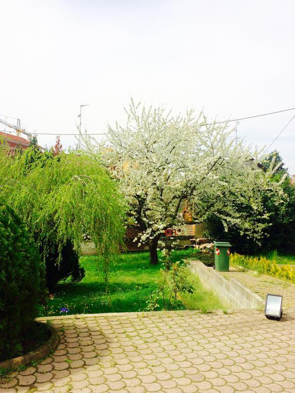 I Ciliegi Appartement Moncalieri Buitenkant foto